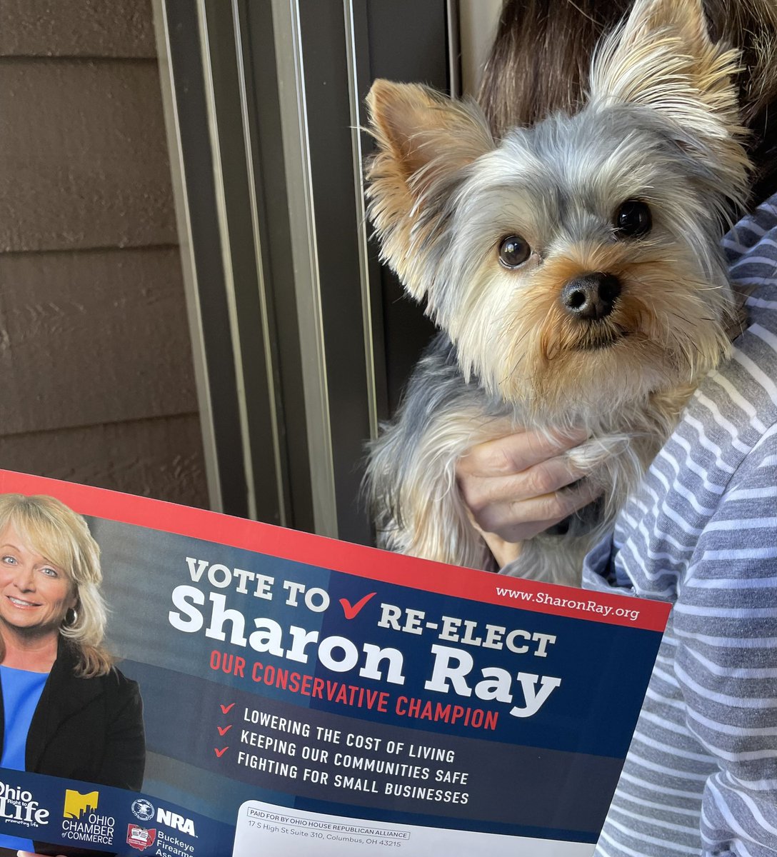 Petey would vote for Sharon Ray if he could.
