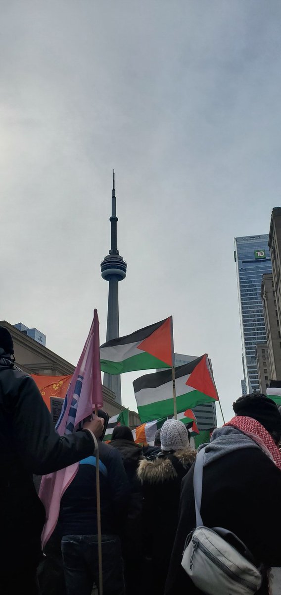 All out in Tkaronto! #StopTheGenocide #StopArmingIsrael #ArmsEmbargoOnIsrael #NotInMyName