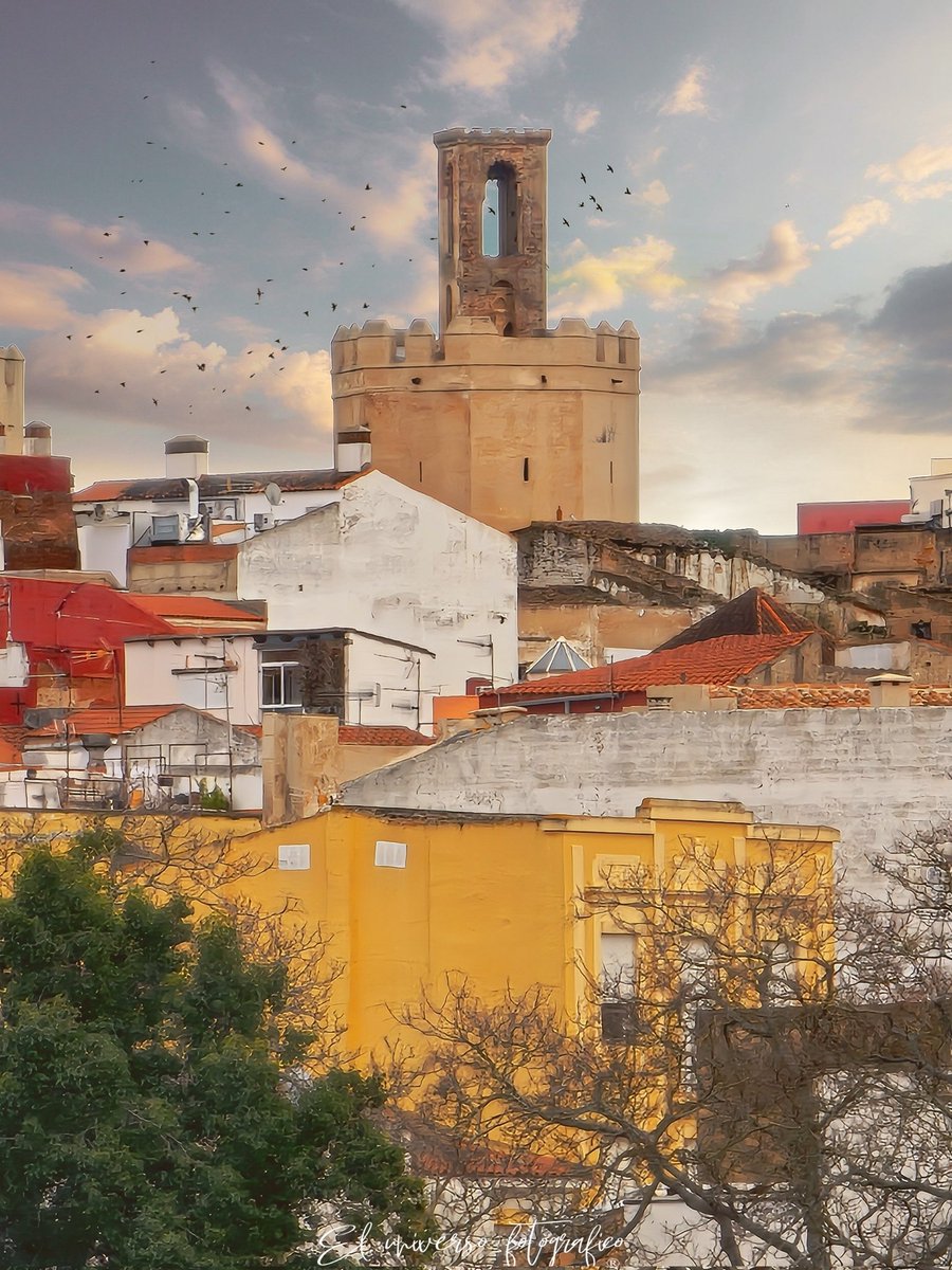 Que chula la Torre de Espantaperros desde esta vista🤎
@eventos_ en_extr <a href="/Extre/">Carlos</a>madura_tur
<a href="/AmarExtremadura/">Amar Extremadura</a> <a href="/Badajoz_Marwan/">۞ Ibn Marwán ۞</a>
<a href="/Eresdebadajozsi/">EresdeBadajozsi</a> <a href="/ReyMutawakkil/">Mutawakkil</a>
<a href="/TurismoBadajoz/">Turismo Badajoz</a> <a href="/viajarporextrem/">ViajarPorExtremadura</a>
<a href="/spain/">Spain</a> @afe_fotos twitt
<a href="/AmigosDeBadajoz/">Asociación Amigos de Badajoz</a> <a href="/SOSCABadajoz/">SOS CASCO ANTIGUO BA</a>
<a href="/BarreraGragera/">Ignacio Gragera 🇪🇦</a> @Extre _Diaria