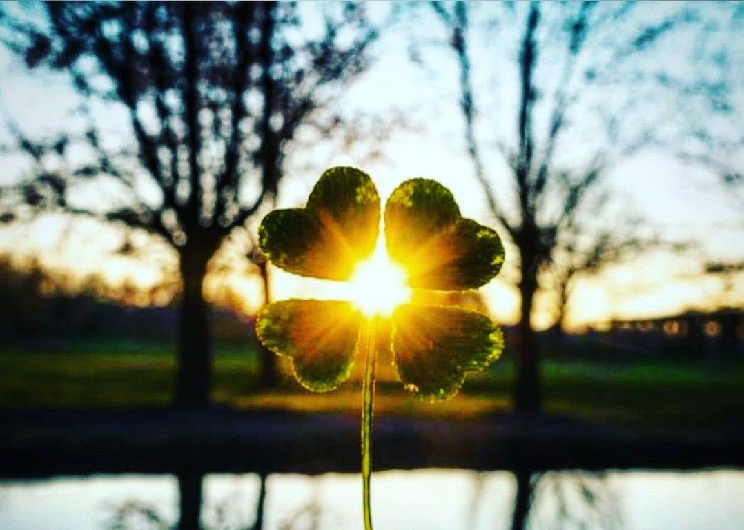 Carla_Baron's tweet image. It&apos;s Saturday.  #StPatricksWeekend  ☘️💜🕊️🪄🕯️

Listening to my Gaelic spiritual tunes on my Blackmore&apos;s Night channel @pandoramusic

Thinking sometime this afternoon in-between readings a little holiday baking - ✴️Cocoa Mint Chip Muffins☘️

Booking #psychic sessions into late…