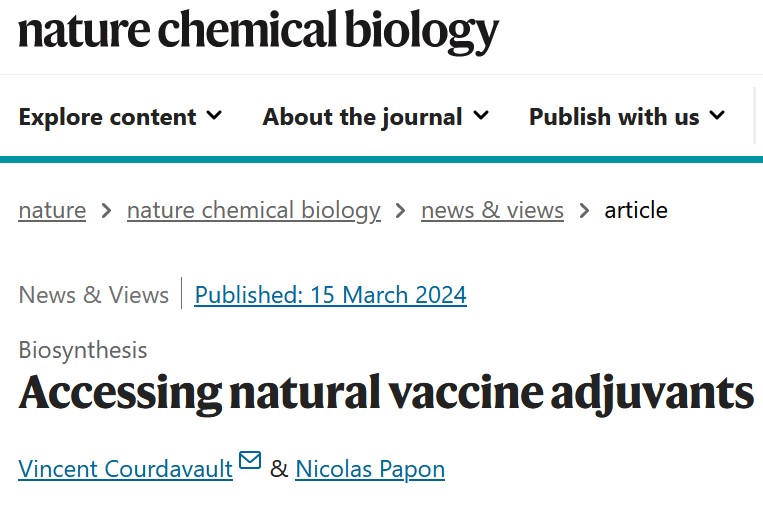 💊 Accessing natural vaccine adjuvants. 💉 nature.com/articles/s4158… 👍 Thanks @v_courdavault for this collaboration to write a spotlight @nchembio on the awesome @AnneOsbourn1 lab report (nature.com/articles/s4158…) 👏 @BBVEA2106_Tours @UA_Recherche @FacSante_Angers @chu_angers