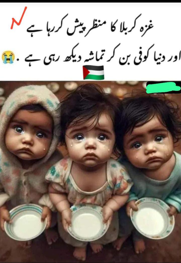 Toqeer rasheed (@toqeer_rashed) on Twitter photo 