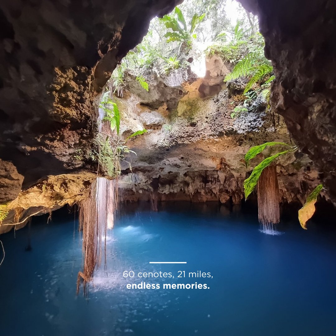 Puerto Morelos tweet media