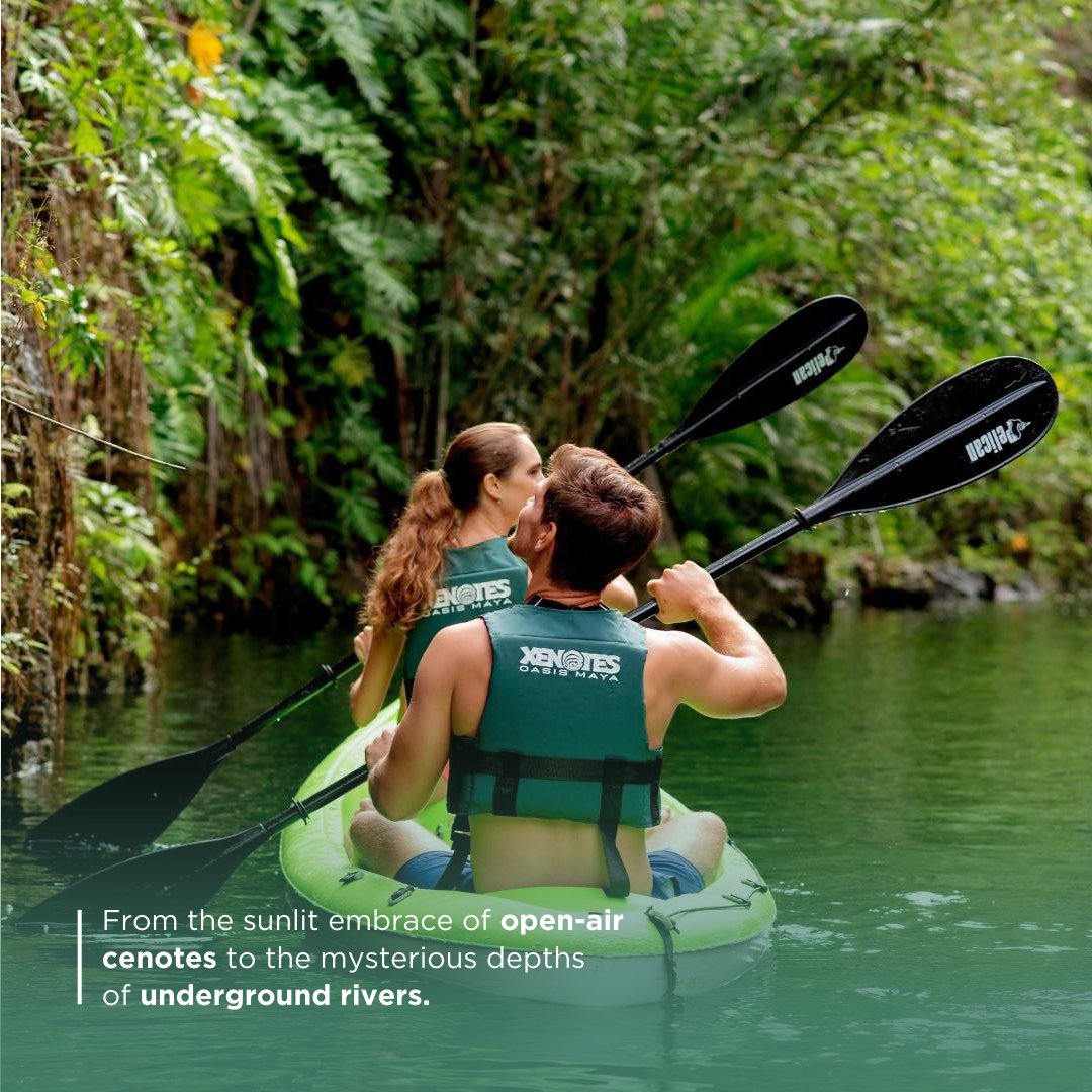 Puerto Morelos tweet media