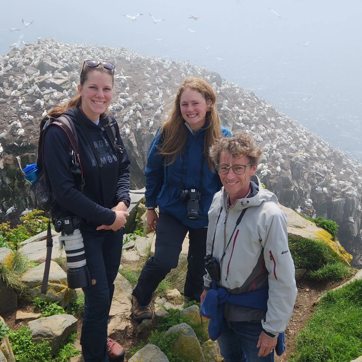 Taylor Brown tweet media