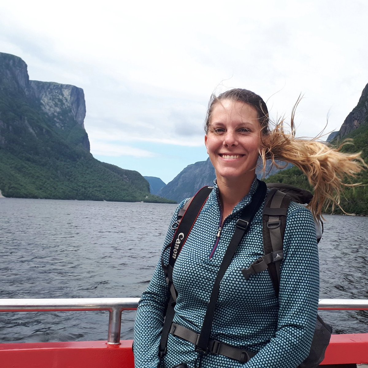 Taylor Brown tweet media