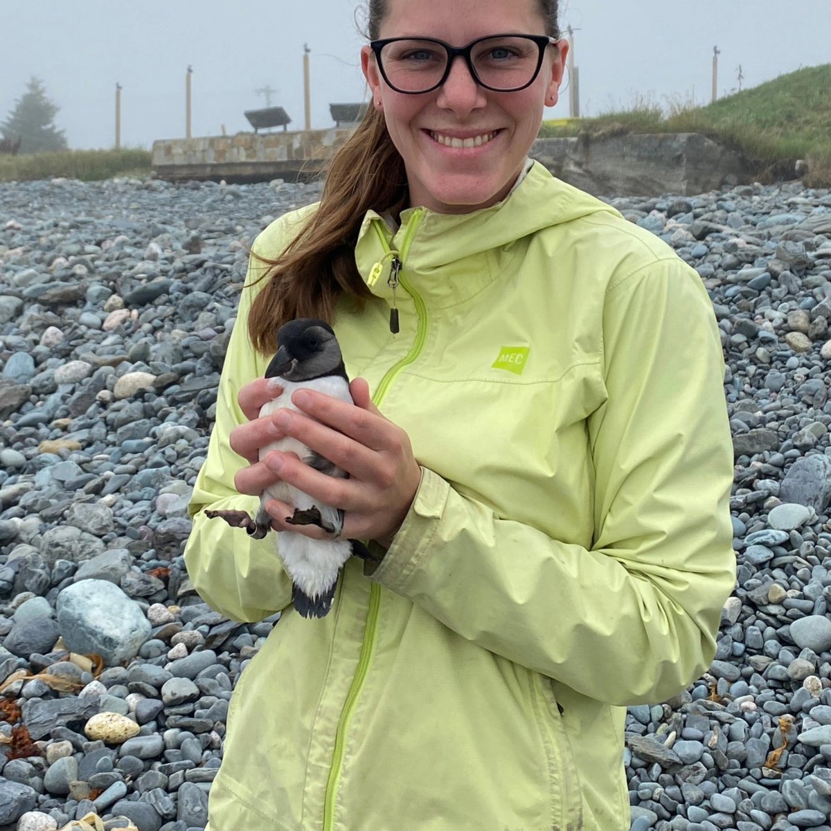 Taylor Brown tweet media