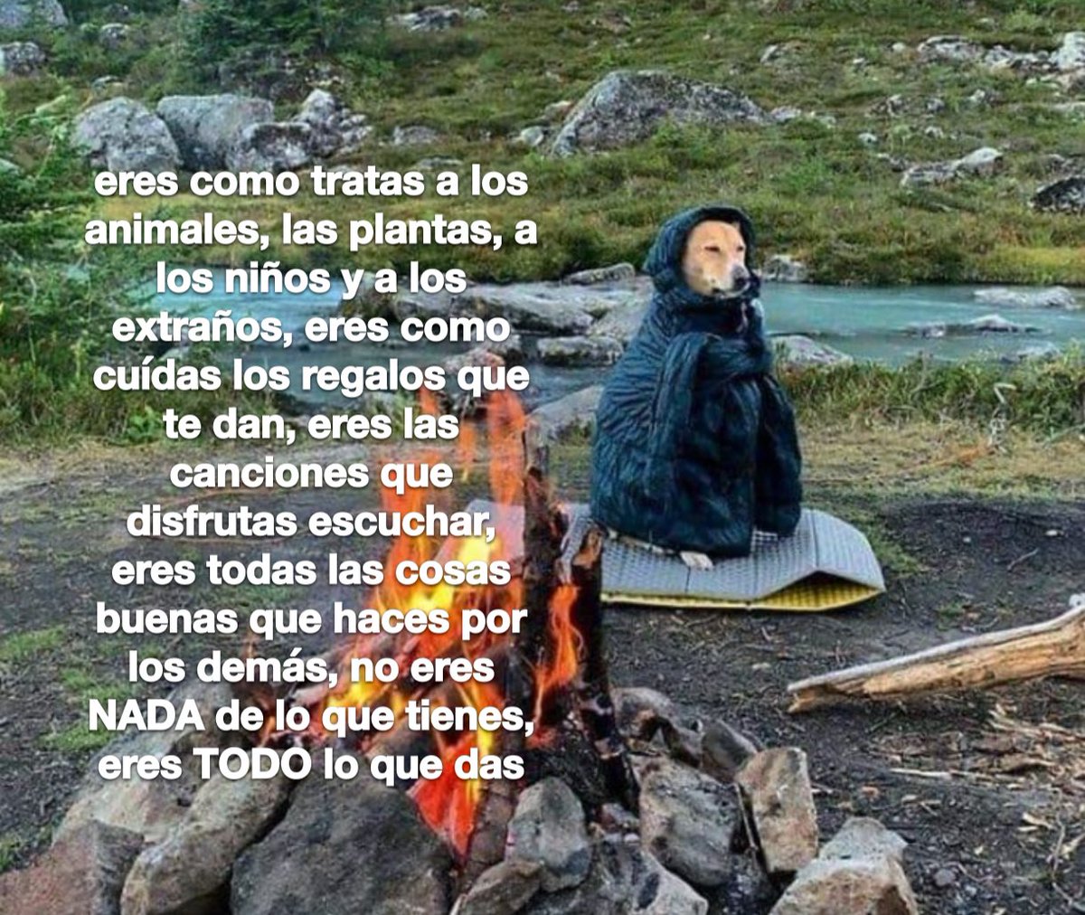 conoloracigarro's tweet photo. https://t.co/gfUPB6ykrk