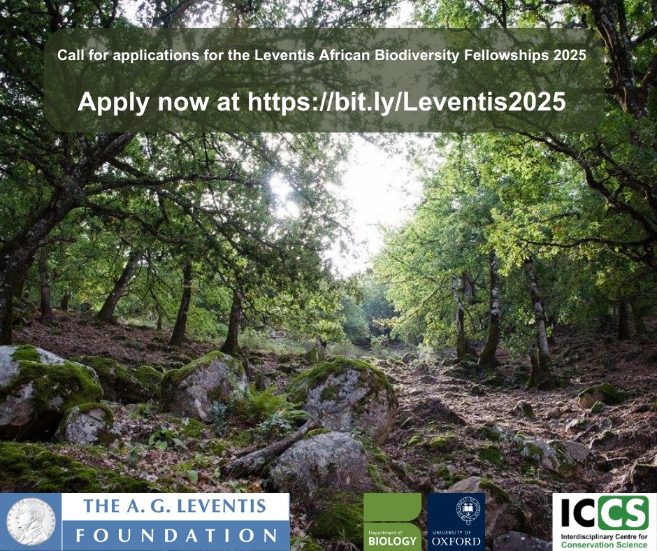 ONE WEEK LEFT to apply for the 2025 Leventis African #Biodiversity Fellowship! These fully-funded Fellowships are a great chance for knowledge exchange with Oxford researchers. Apply here: bit.ly/Leventis2025