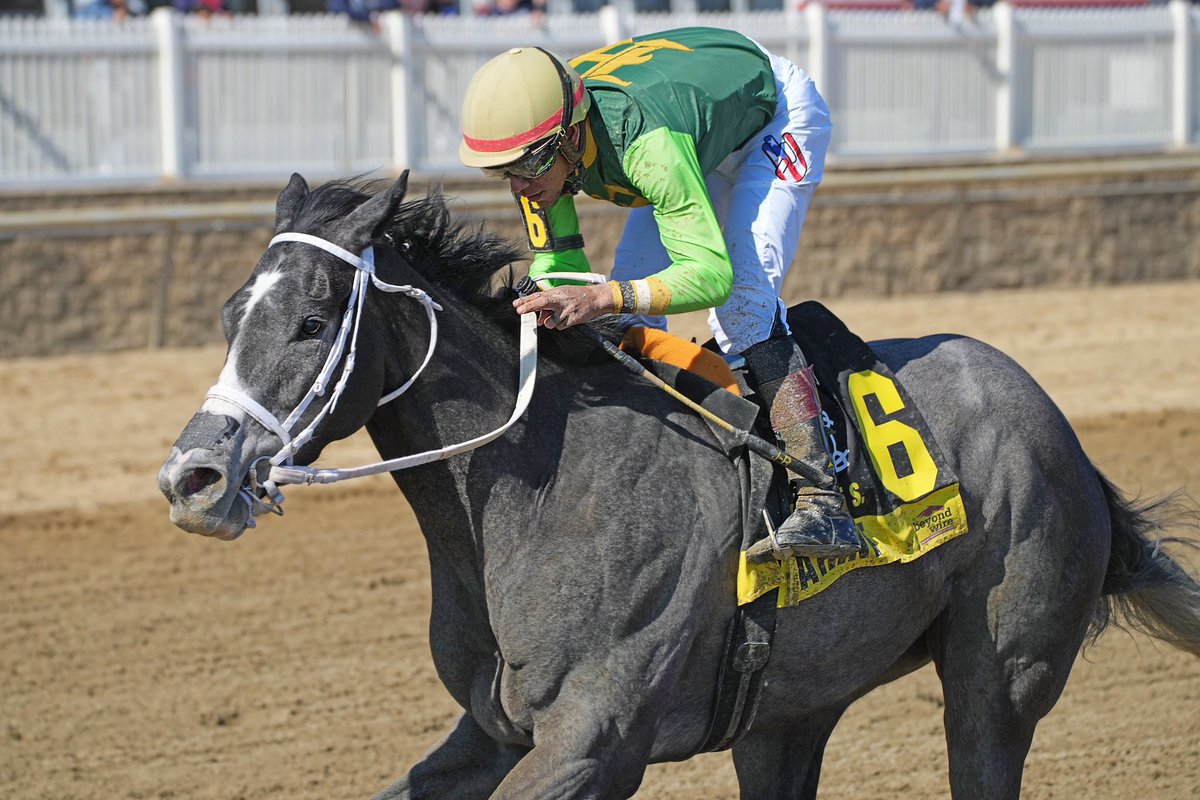 Take a Hint now 5-6-3 in 14 starts and clears $200K mark in earnings after first stakes win in 6F MD-restricted Not For Love @LaurelPark with Jaime Rodriguez up for Gary Capuano. 4YO @MarylandTB gelding by Bandbox owned by 57 Strong. (Jeff Snyder/MJC 📷)