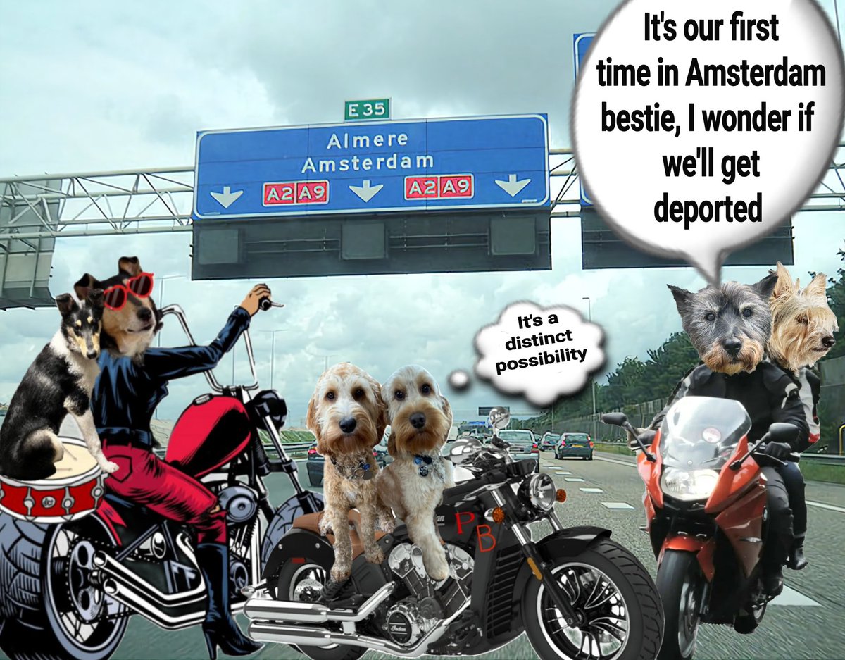 The RuffRiderz have never been to Amsterdam bestie, I wonder what we can get up to here 🤔 I wonder if we'll do anything to get arrested for......... and then deported?🤣🤣
#theruffriderz #BovverBoys @jennystape @CollieTwiggy @ODoodles1 #BeLikeClaire #Amsterdam #DoubleDutch