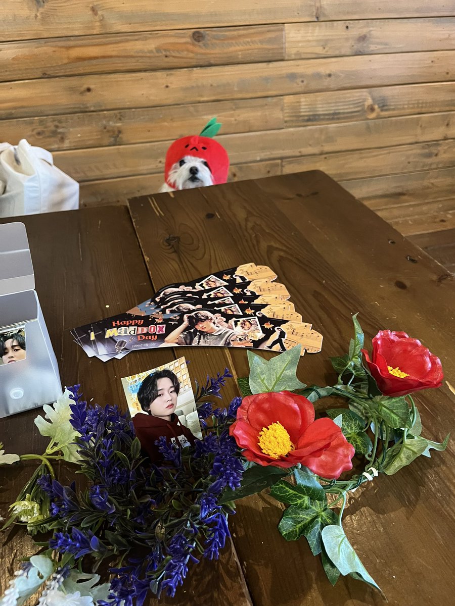 raphiraeth's tweet photo. Hello friends, if anyone is in the Sacramento area, we are hosting a Maddox cupsleeve event today till 4pm! Please stop by Pearls Boba if you have some time to spare, thank you! 🥹🎂

#Maddox #마독스 #LittleMaddoxCafe https://t.co/bGBLbB8wiv