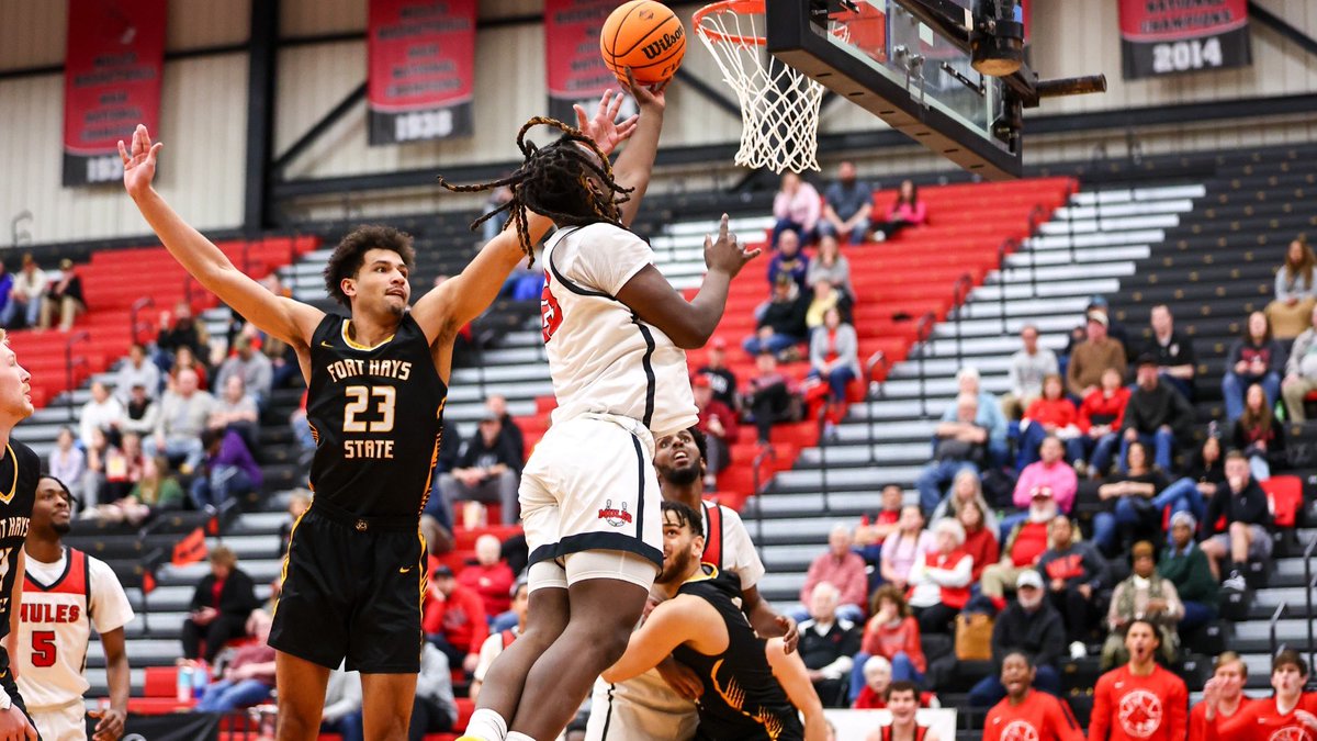 CBB Transfer Portal Spotlight

Tim Jordan Jr.
6'6" 220
Forward
Central Missouri (D2)
3 Years of Eligibility Remaining

2023-24 Stats (26 Games):
📊 12 PPG, 4 RPG, 1 APG, 39 FG%

📶 22 Career Starts, 300 Career Points

🏅 2024 All-MIAA

🎥 youtu.be/JU6SLnNl5dk?si…

#TP4PT
