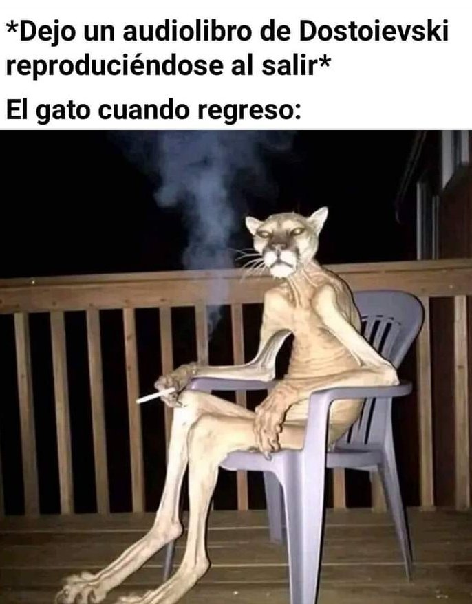 capdegat's tweet photo. https://t.co/iF9EzqPPgX