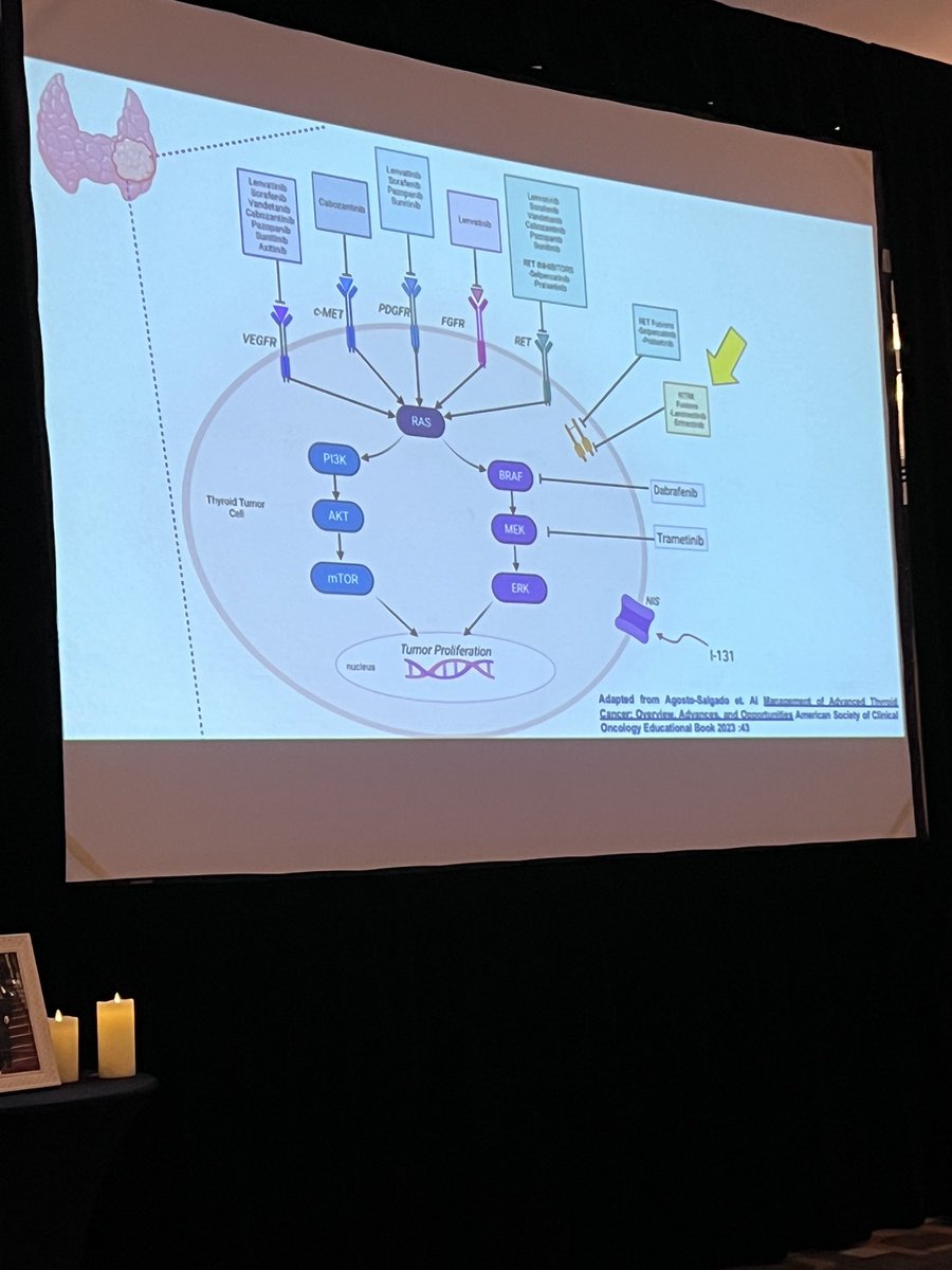 Apyg's tweet photo. Excellent conference by @AgostoSarimar at PR 🇵🇷 #advancethyroidcancermanagement https://t.co/YCfzphyLZd