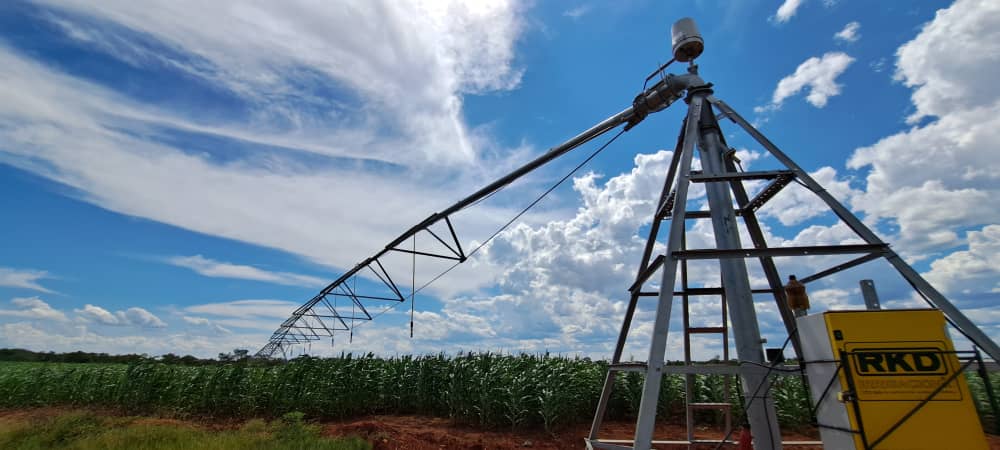 sirpzim's tweet photo. #irrigating
#climatesmart
Mambajeni Irrigation Scheme is complete and farmers have begun irrigating. @sirpzim installed 5 Centre pivots, 4 pumping units,constructed and electrified a pumphouse and a new reservoir at a cost of US$702 265. The 85 hectare scheme has 168 farmers. https://t.co/DL6u2vAwFd