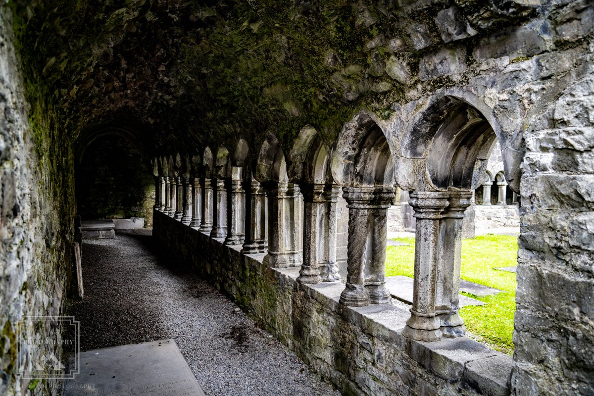 Arches at Sligo Abbey. #architecturaldesign #arch #pathway #rocks #SligoAbbey #historicallocation #Sligo #Ireland @NiksImages @Traveliremag @travelireland @HeritageIreOPW