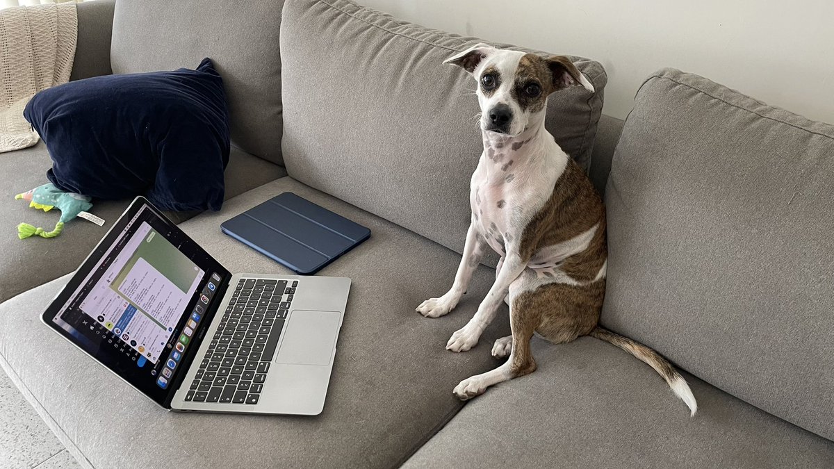 I am a degen on <a href="/bonkbot_io/">TELEMETRY by BONKbot</a> what should I buy?