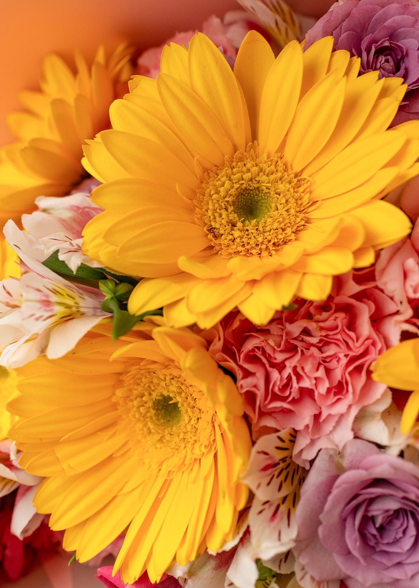 enviaflores's tweet photo. Por un 21 de marzo siendo protagonista de flores amarillas 💛 https://t.co/kZ48w1hJYe