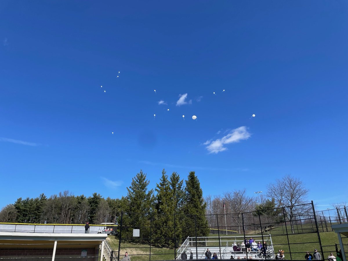 North Royalton Bears Softball tweet media