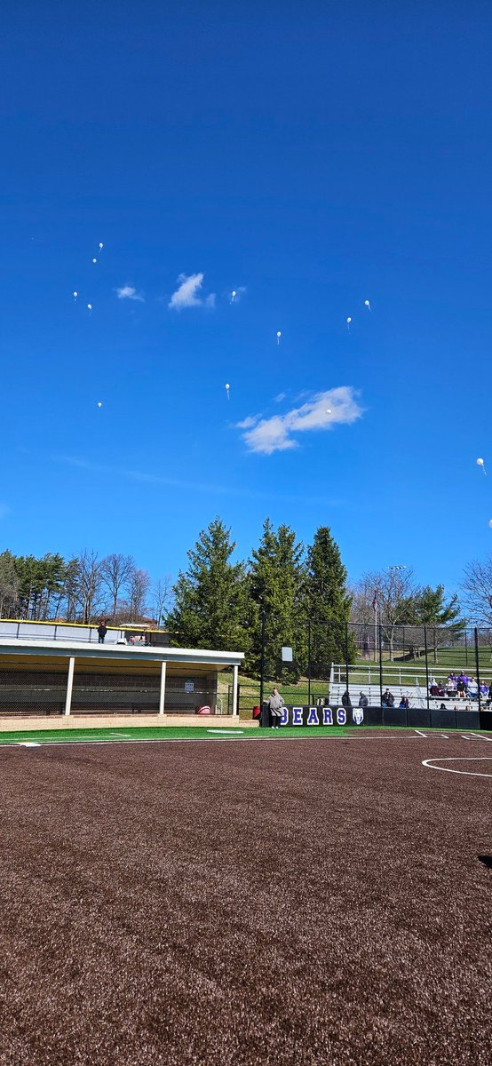 North Royalton Bears Softball tweet media