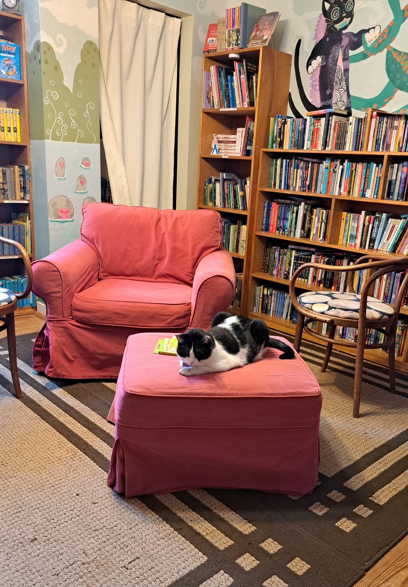 Bookstore cat! #caturday