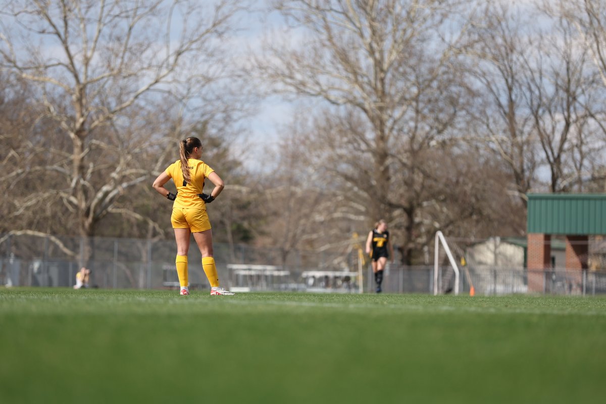 MizzouSoccer's tweet photo. Back on the pitch 🏟️ https://t.co/Z0nqvNAGVP