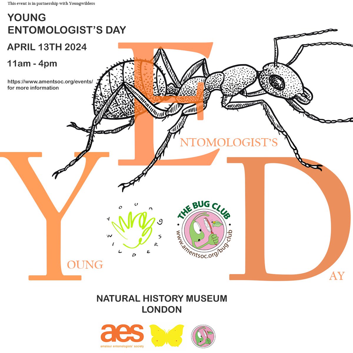 There's still space for #insect fans to present at our Young Entomologist's Day #yed2024 w/ @Youngwilders_ @NHM_London Sat 13th Apr - talk about a fav insect, recite a poem, present drawings - anything goes! For more info & sign up (it's free!) visit: amentsoc.org/events/listing…