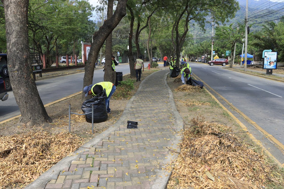 MuniDeSPS's tweet photo. La Municipalidad de San Pedro Sula, que dirige el alcalde @OficialRobertoC, trabaja en la limpieza y embellecimiento de los bulevares de la ciudad.

Hoy los equipos trabajaron en el bulevar Los Próceres, realizando labor de limpieza, rastrillado y recolección de desechos sólidos. https://t.co/YtpfU1GsCx
