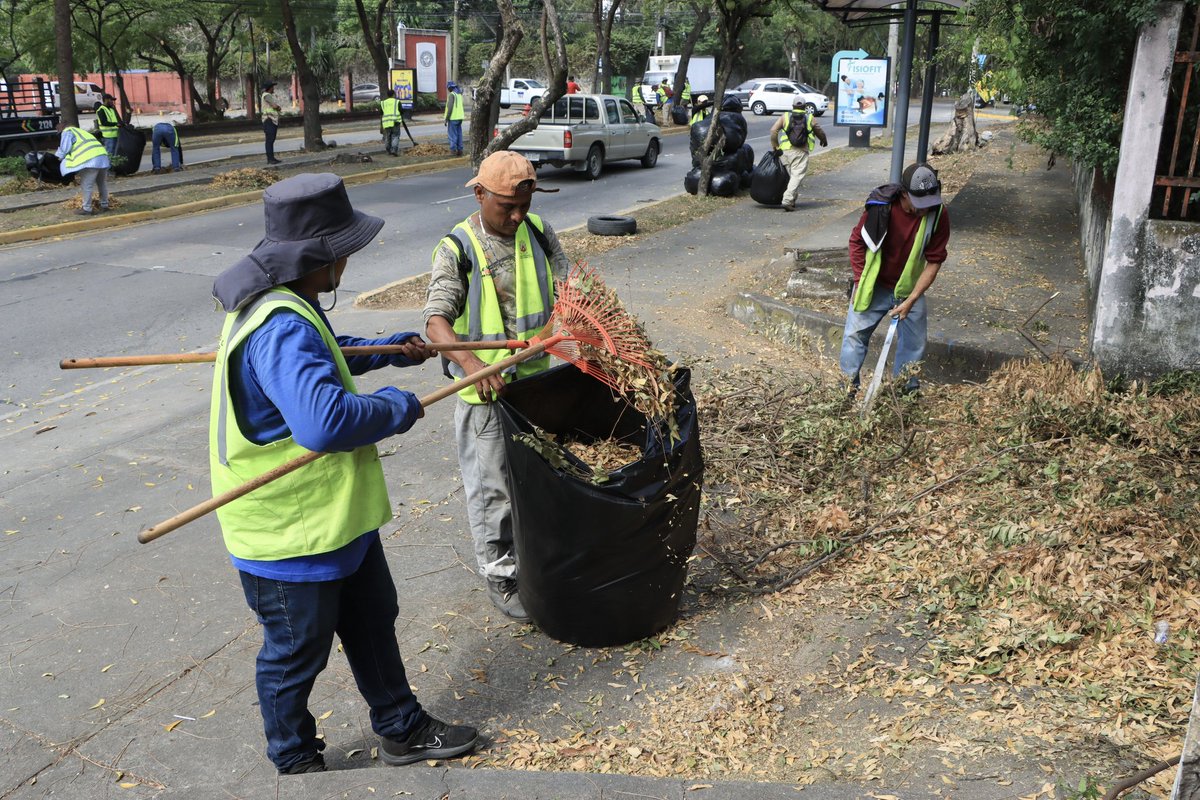 MuniDeSPS's tweet photo. La Municipalidad de San Pedro Sula, que dirige el alcalde @OficialRobertoC, trabaja en la limpieza y embellecimiento de los bulevares de la ciudad.

Hoy los equipos trabajaron en el bulevar Los Próceres, realizando labor de limpieza, rastrillado y recolección de desechos sólidos. https://t.co/YtpfU1GsCx