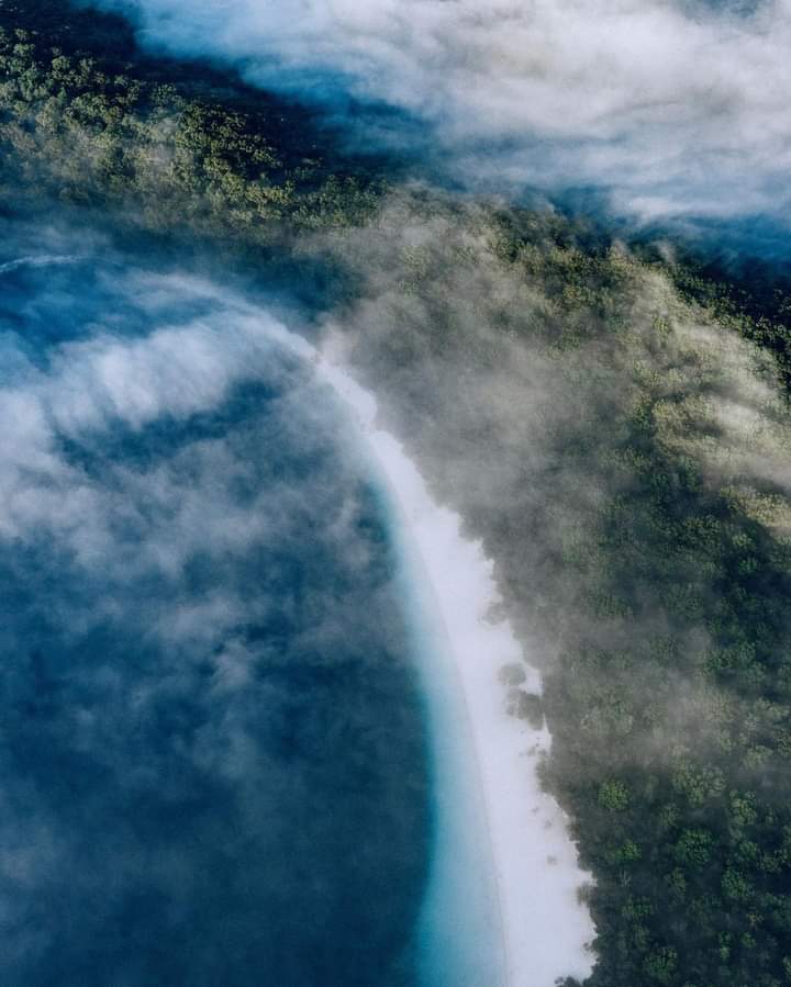 Fraser Island, Australia... Photo by Helloemilie...