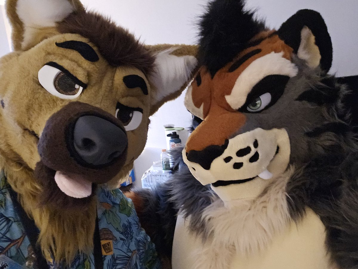KhoiTheCoyger's tweet image. Heading down in suit with @StinkyShep at #TFF24 come say hi!