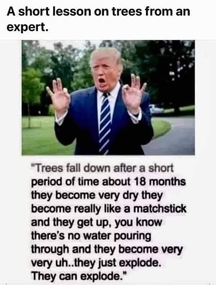 philharvey65's tweet photo. #Trumpsplaining https://t.co/L2mDAWwrug
