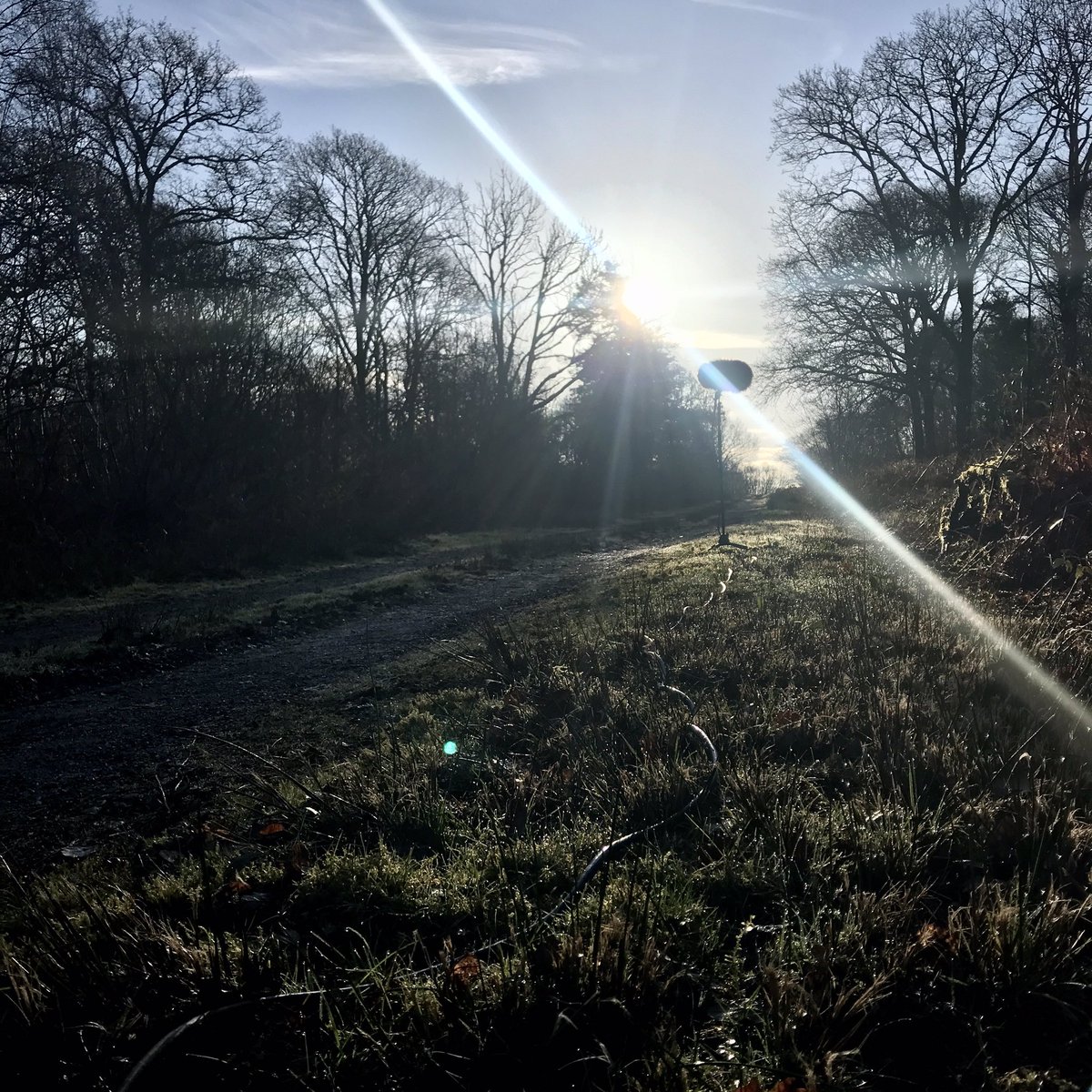 #birdBath take 1 <a href="/brightfest/">Brighton Festival</a> <a href="/SussexUniMAH/">School of Media, Arts and Humanities</a> <a href="/SussexUniPress/">Sussex Uni News</a> <a href="/LivingCoastUK/">The Living Coast UNESCO Biosphere</a> <a href="/agappleton/">Alistair Appletons Mindsprings</a>