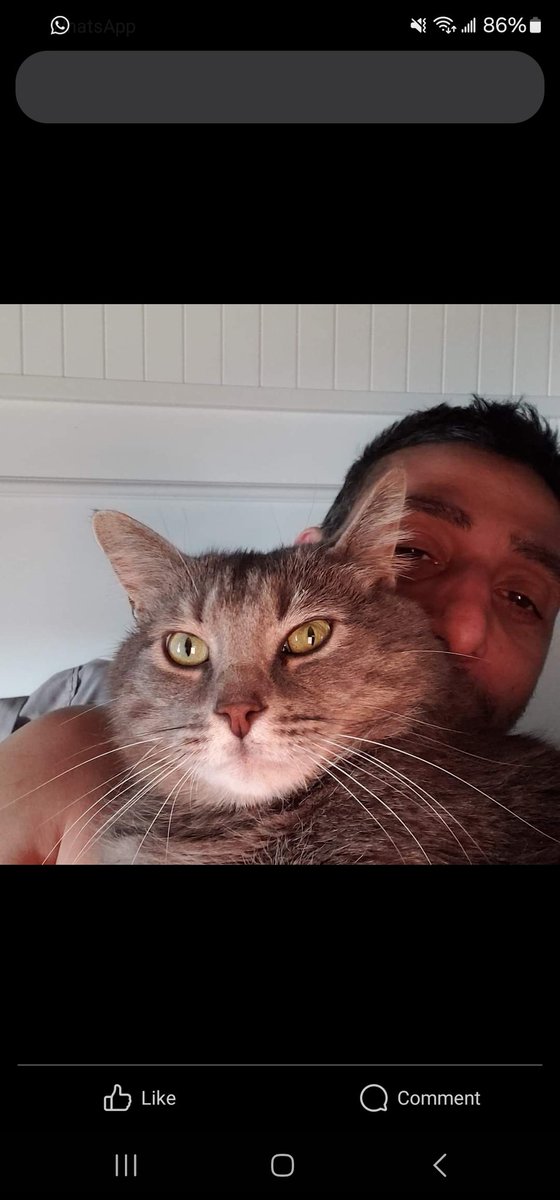 rcdriftzone's tweet image. 