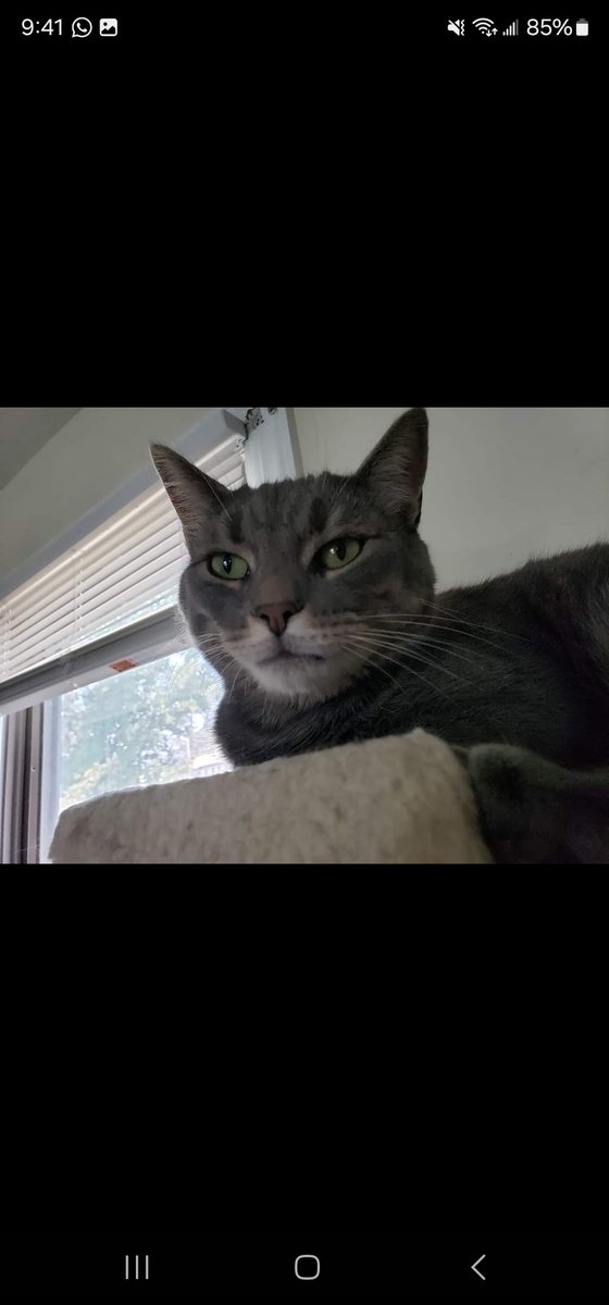 rcdriftzone's tweet image. 