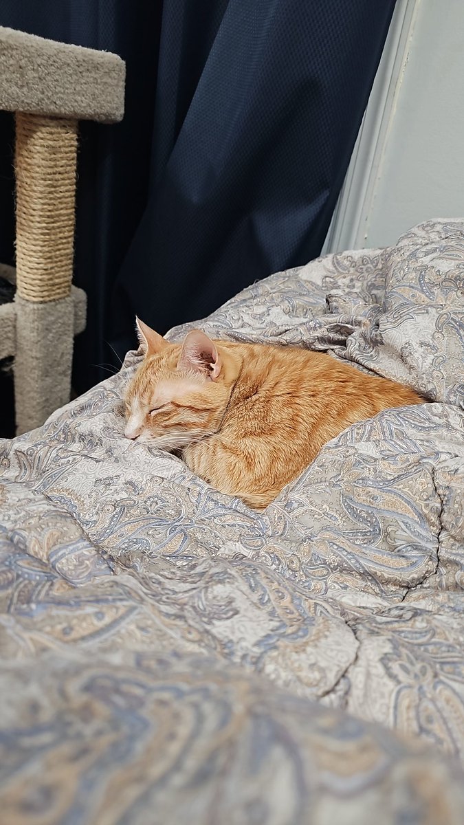 rcdriftzone's tweet image. 