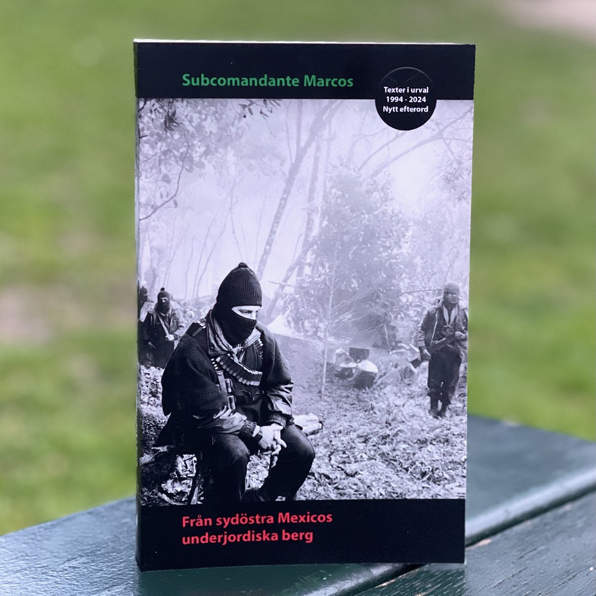 EdVagabunda's tweet photo. Marcos i parken. Snart vår.
https://t.co/gkftNevxrW https://t.co/5Af13IoczS