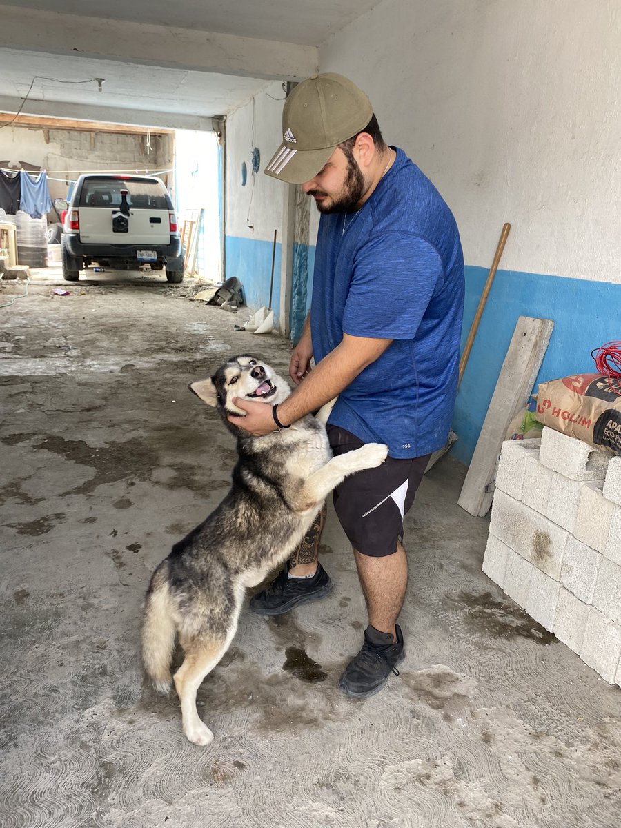 MauSilva30's tweet photo. Compartir sonrisas y emociones con un ser que no entiende por qué te ama, pero te AMA, es vida!.
THOR🐶⚡️
#Lomitos #SabadoDePelos #PetFriend https://t.co/XGA9IpYHVp