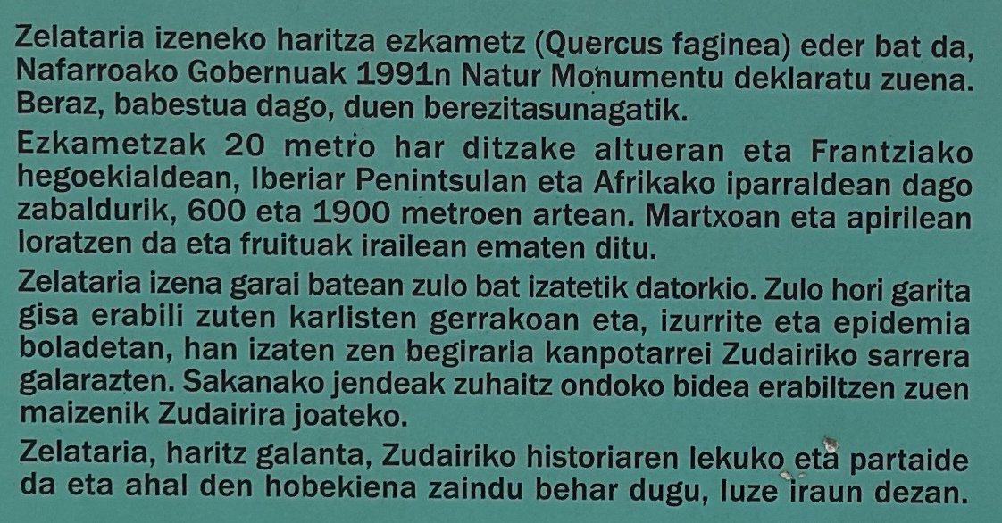 BASOBIZIAKPLAT1's tweet photo. #gurezuhaitzak #basobiziak
Zudaire (Nafarroa)
Zuhaitzak eta historia
#zuhaitzbereziak https://t.co/Fh6Ki6oze4