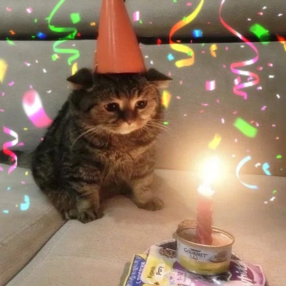 meowsniji's tweet photo. Bday Boy !!! ☹️💗
#村上虹郎誕生祭2024 
#村上虹郎
#村上虹郎誕生祭
#HappyBDayNijiro 
#RainbowMemories https://t.co/JowLuMPgfr