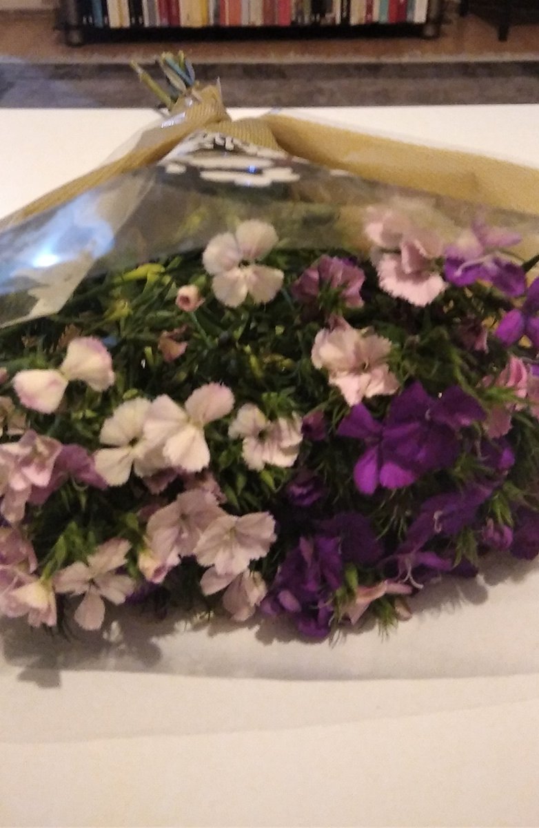 Hayat bazen beklenmedik anlarda öyle bir incelik getiriyor ki insan ne diyeceğini bilemiyor. Mahcup bir şekilde kelimeleri dizmeye çalışıyorum. Harika bir çocuğun gözündeki anlamda ve iyilikte kaybolup gidebiliyorum.  Böyle mucizevi anlar yaşamı değerli kılıyor.