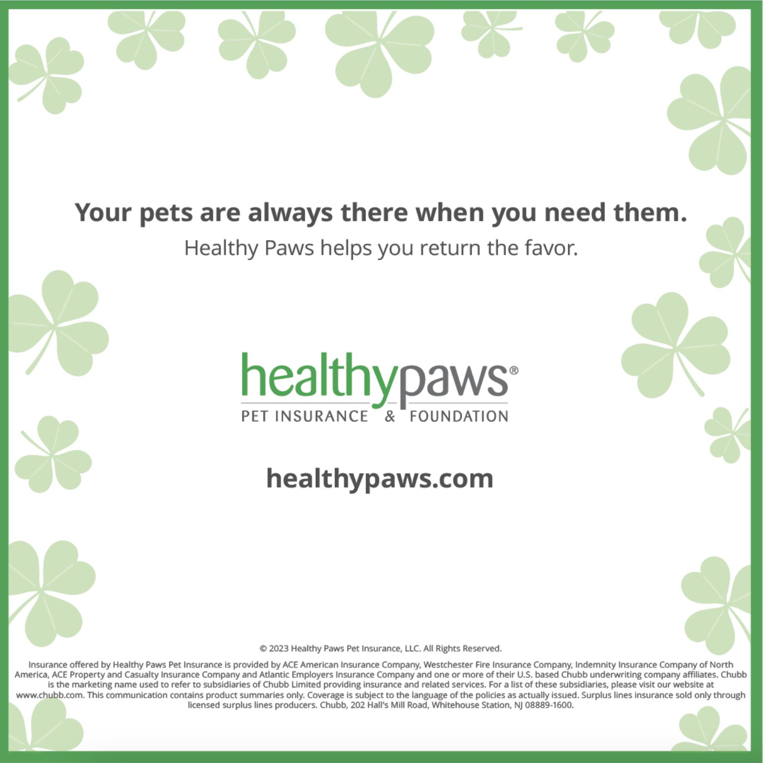 Healthy paws pet insurance cheap & foundation pet insurance