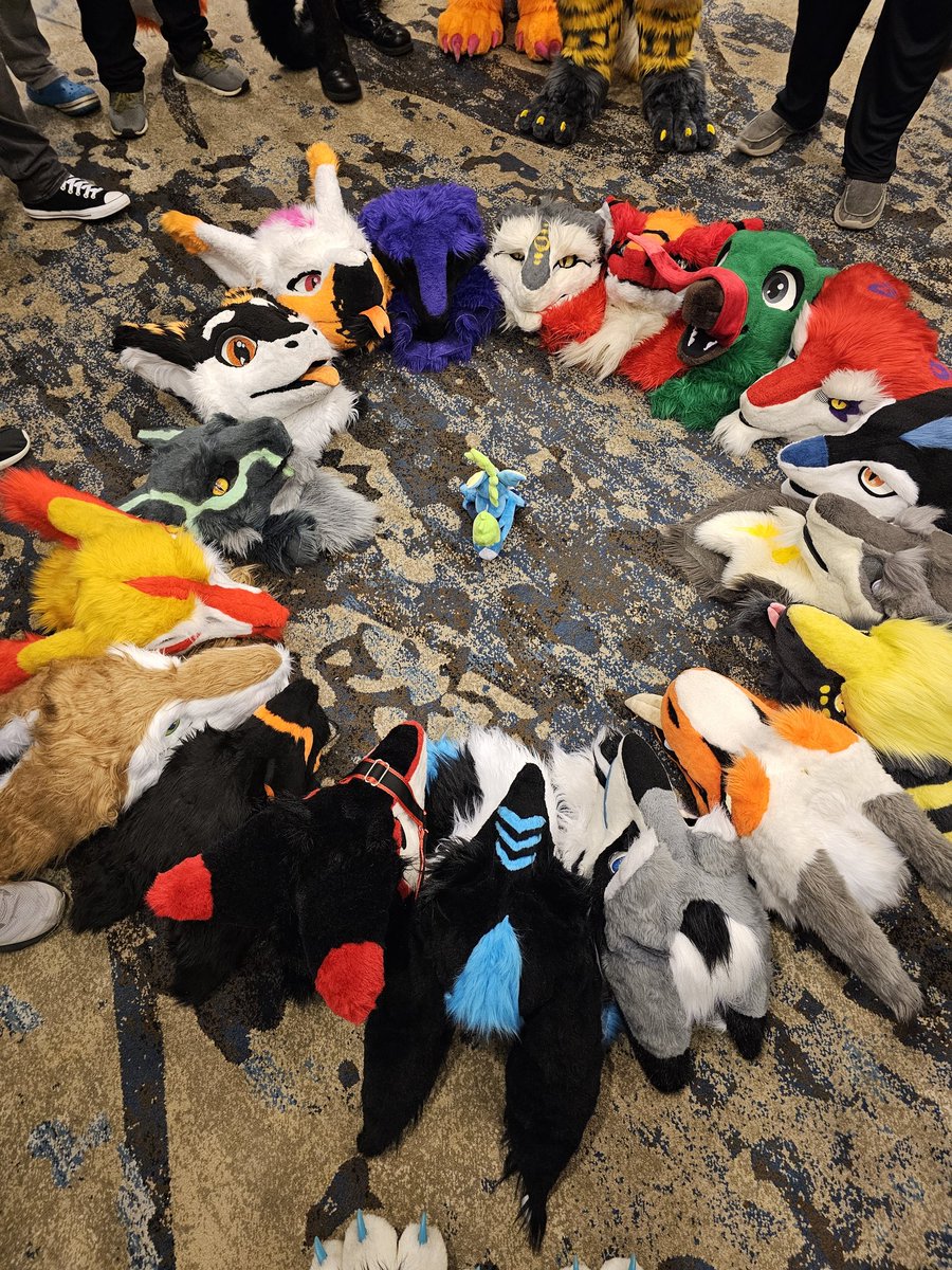 CHEESE WHEEL!
#tff24 #texasfurryfiesta24