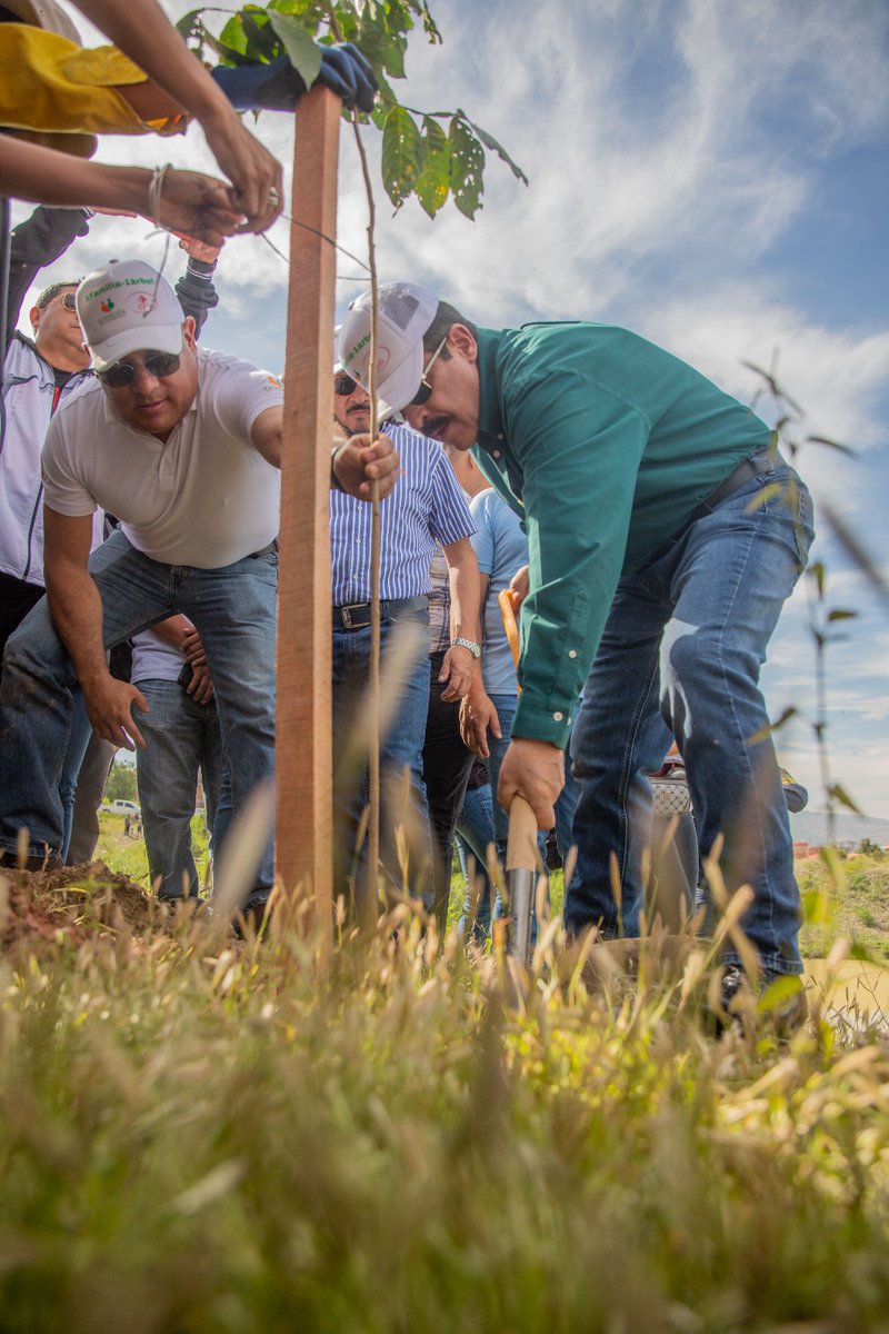 ManfredBolivia's tweet photo. Junto al grupo @BisaSeguros_SA realizamos la forestación de la Torrentera la Pajcha, una importante acción en pro del medio ambiente que se convertirá en un Pulmón Urbano para la ciudad de #Cochabamba. Agradezco el compromiso de esta institución, así como también, de los estudiantes del colegio Marista y los vecinos.