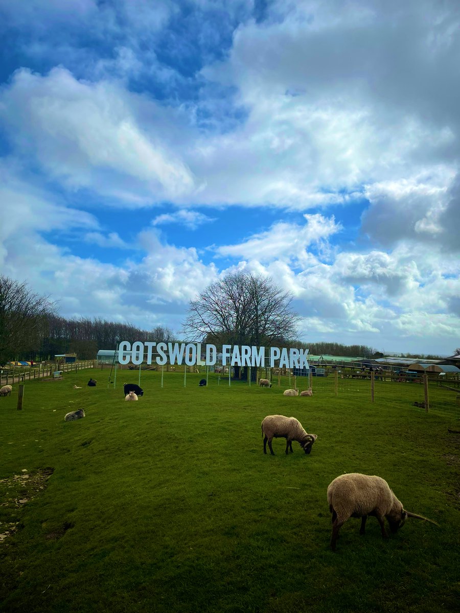 Ascov87's tweet photo. Had a fabulous day out @CotswoldFarmPrk yesterday JoJo in the cafe was super helpful, seeing all of the new arrivals was a treat too https://t.co/GC1R922CcC