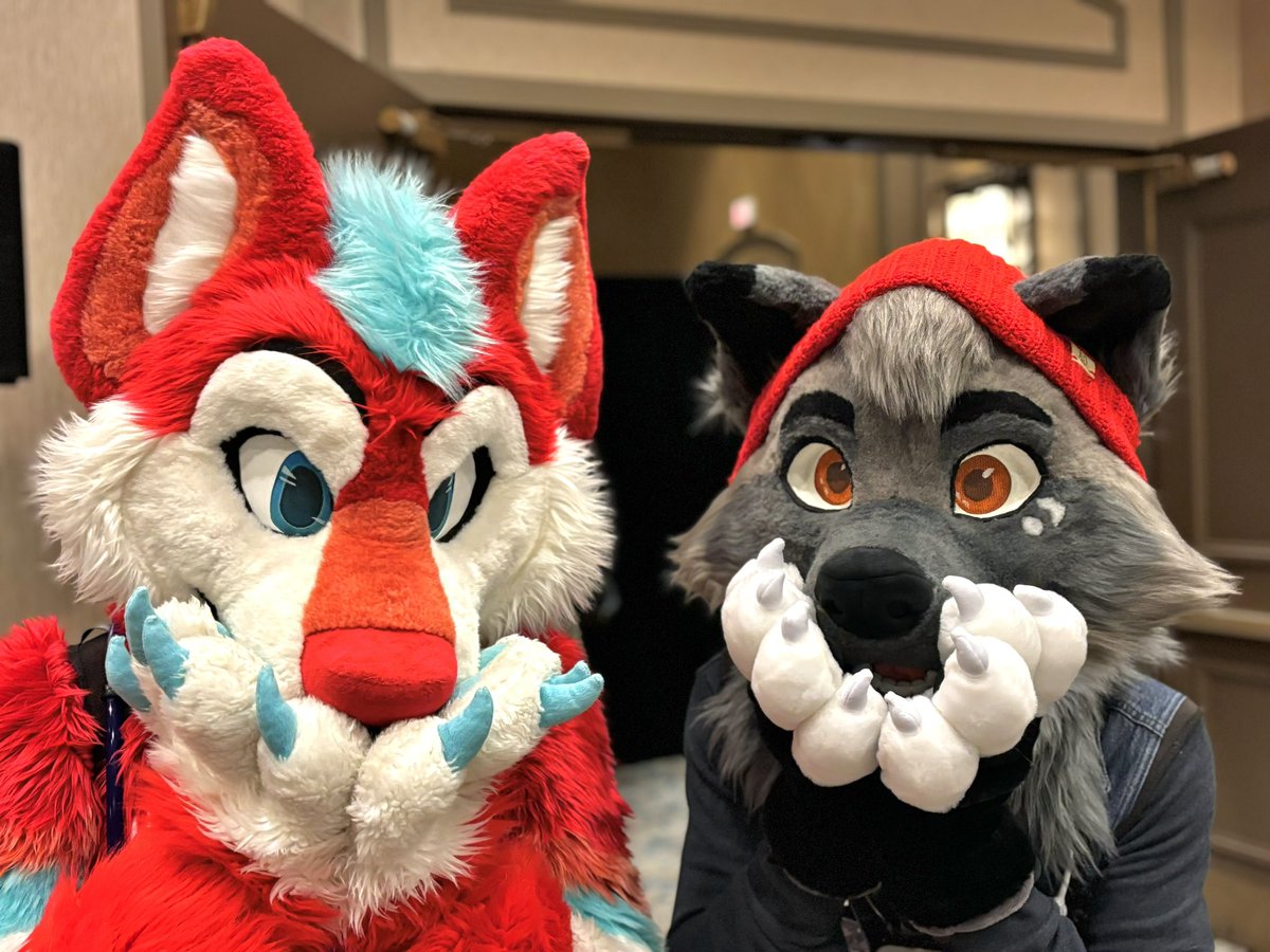 GarenTheFox's tweet image. Hanging out with other foxes!

🦊: @BelsiFox 
📸: @uhkimboze 

#TFF2024 #TFF24