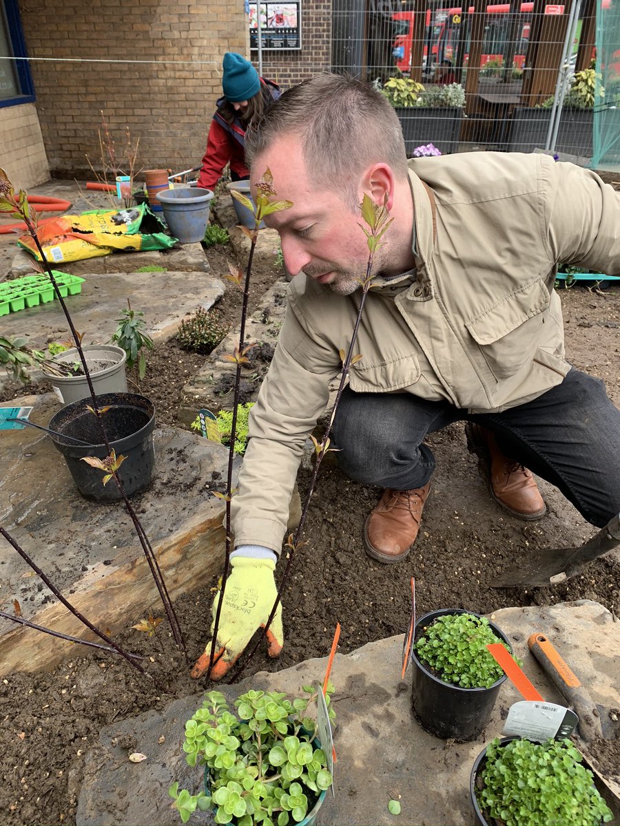 Four years ago today we set up Haringey’s first “Library Garden” project at Wood Green Library in partnership with @WoodgreenBID and <a href="/haringeycouncil/">Haringey Council</a> 

As soon as GrowN22 got the go ahead the majority of the planting was purchased and stored in <a href="/Duke_Nuke/">Ranger Duke</a>’s garden with