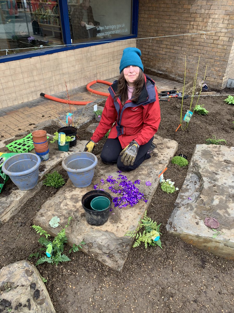 grow_n22's tweet photo. Four years ago today we set up Haringey’s first “Library Garden” project at Wood Green Library in partnership with @WoodgreenBID and @haringeycouncil 

As soon as GrowN22 got the go ahead the majority of the planting was purchased and stored in @Duke_Nuke’s garden with @msolwilliams and @__Revel helping with the logistics and planting.

Shortly after the first batch of planting went into the ground the first COVID lockdown struck and GrowN22 had to get special permission to be able to continue to planting to finish the project. Luckily enough we pulled it off with tremendous support from the local community, volunteers, @AllyPallySt, @LondonNPC, @ggharingey, @Nextdoor_UK, @NPBigLocal 

#LibraryGarden 📚🌱🌿