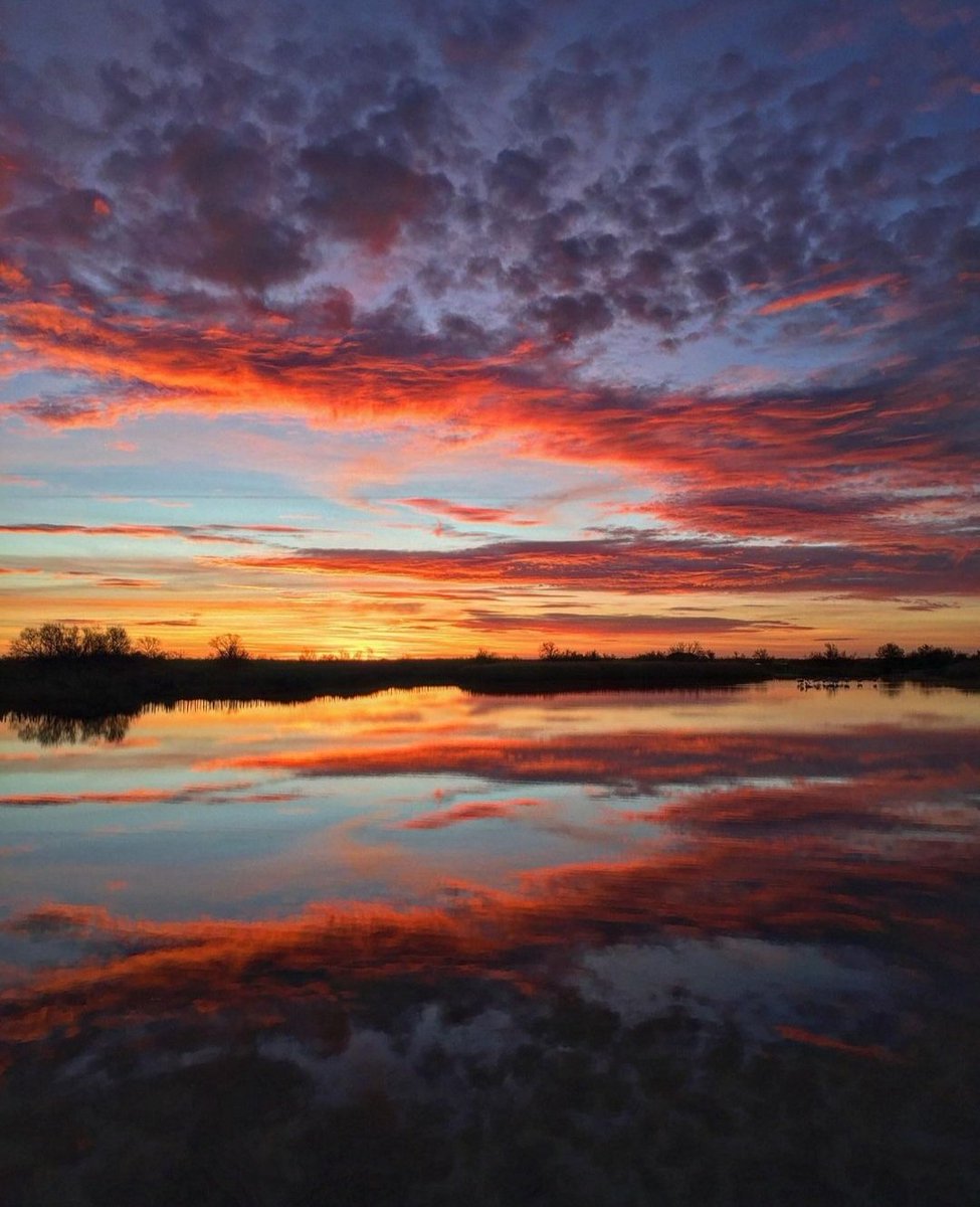 Travelsandphoto's tweet photo. Lever de soleil sur les marais de Candillargues.
#paysdelor #etangdelor #zonehumide #Hérault #sunrise #occitanie #candillargues #landscapephotography
https://t.co/PKpJOre29Y https://t.co/5bLyjQhtBP